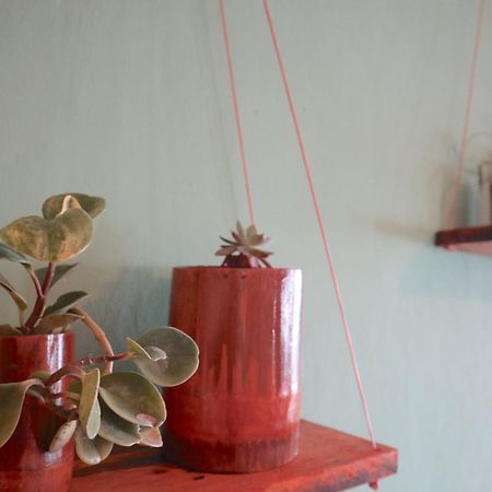 Manulalu B&B Bajawa 外观 照片